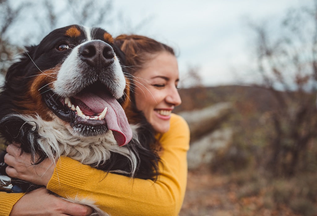 PET APPAREL & PET ESSENTIALS